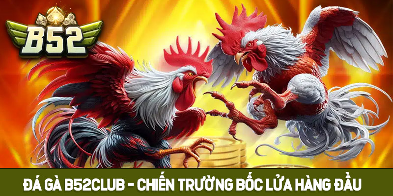 Đôi nét giới thiệu đá gà B52club