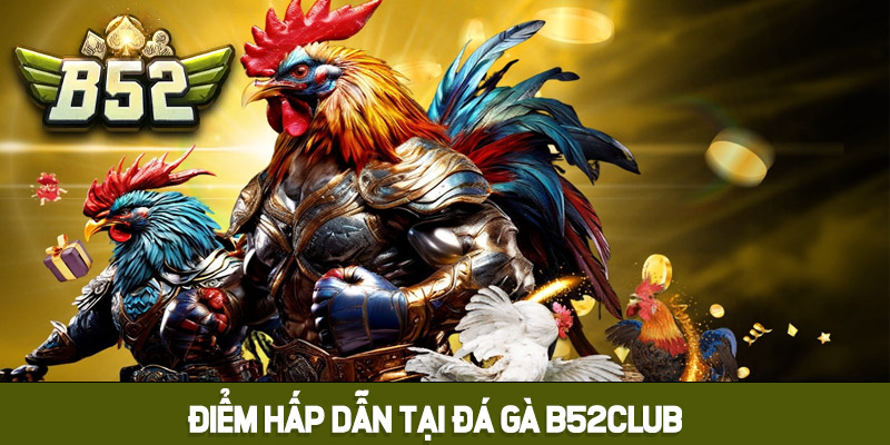 Điểm hấp dẫn tại đá gà B52club