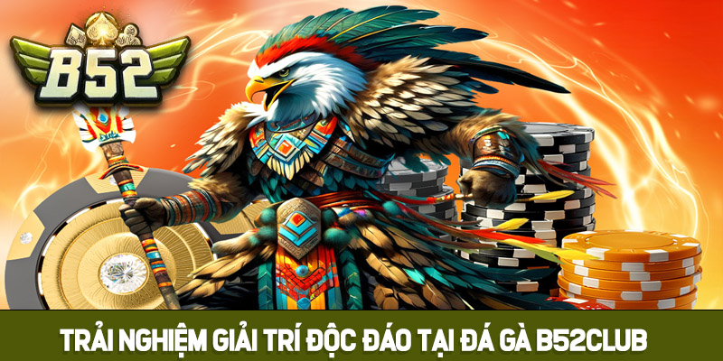 Những trải nghiệm giải trí độc đáo tại đá gà B52club